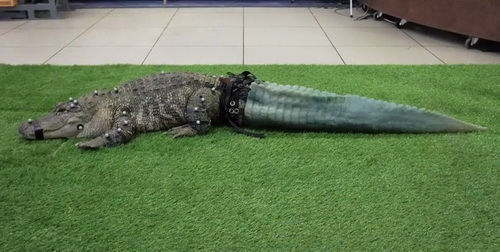   ,   3D-     
